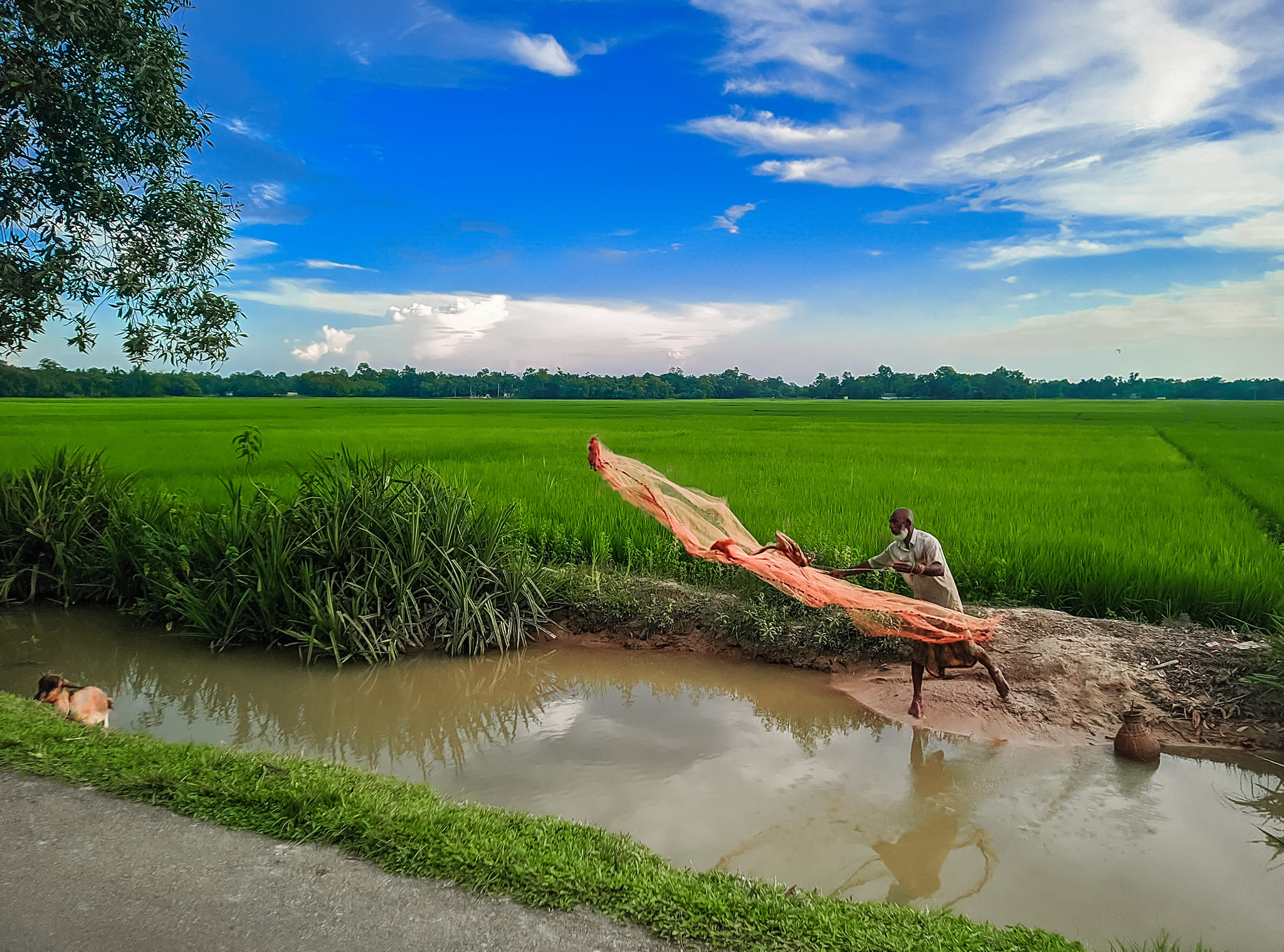 প্রকৃতি যেনো হৃদয়ের হাতছানি