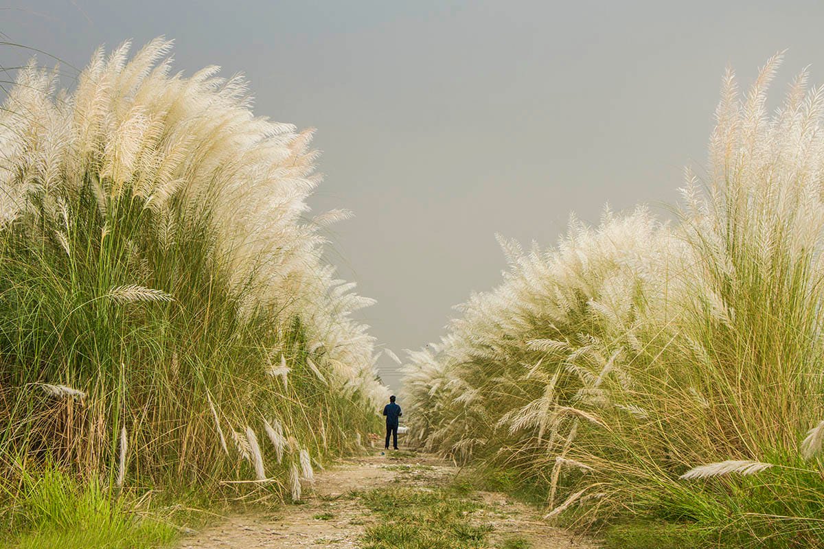 এক খন্ড বাংলাদেশ