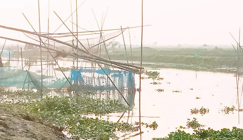 শ্রীনগরের নিষিদ্ধ জাল দিয়ে ডিমওয়ালা মাছ ও পোনা নিধনের হিড়িক