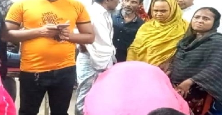 ফরিদগঞ্জে সাপের কামড়ে অন্তঃসত্ত্বা নারীর মৃত্যু