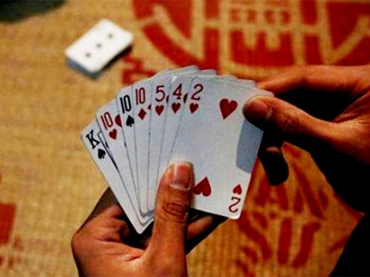 চরমেয়াশায় জমজমাট জুয়ার আসর