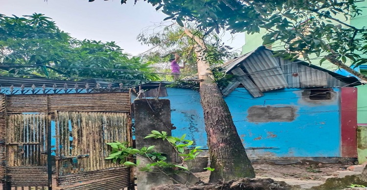 হাজীগঞ্জে কয়েক মিনিটের ঝড়ে ব্যাপক ক্ষতি, নিহত ১