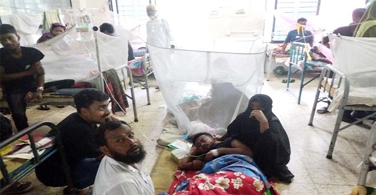 হাসপাতালে ডেঙ্গু রোগীর চাপ বাড়ছে
