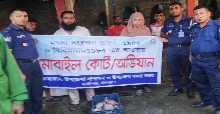 হাজীগঞ্জের মাছ বাজার থেকে ১ মন পিরানহা জব্দ