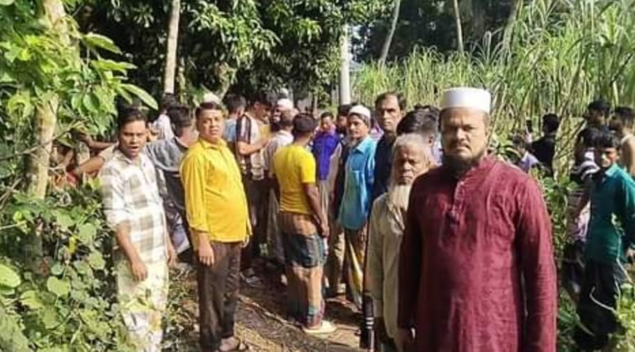 চাঁদপুরে সুপারি গাছ থেকে পড়ে এক ব্যক্তির মৃত্যু
