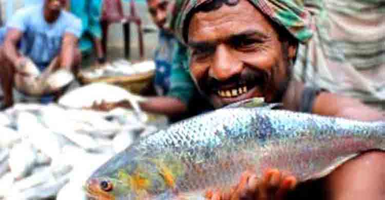 ইলিশ ধরায় নিষেধাজ্ঞা শেষে ফের নদীতে জেলেরা