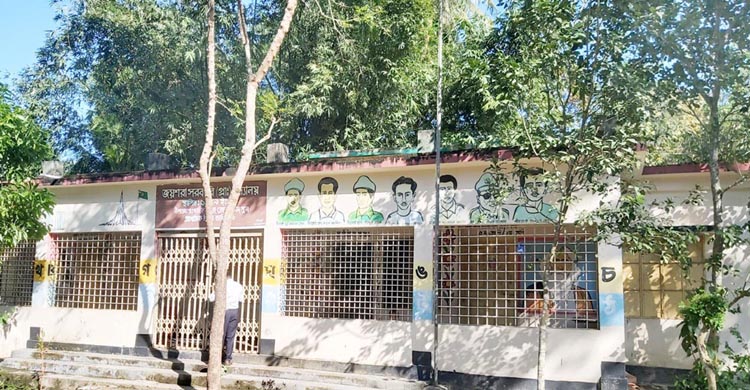 সহকারী উপজেলা শিক্ষা অফিসারদের সক্রিয়তা বৃদ্ধি প্রসঙ্গে