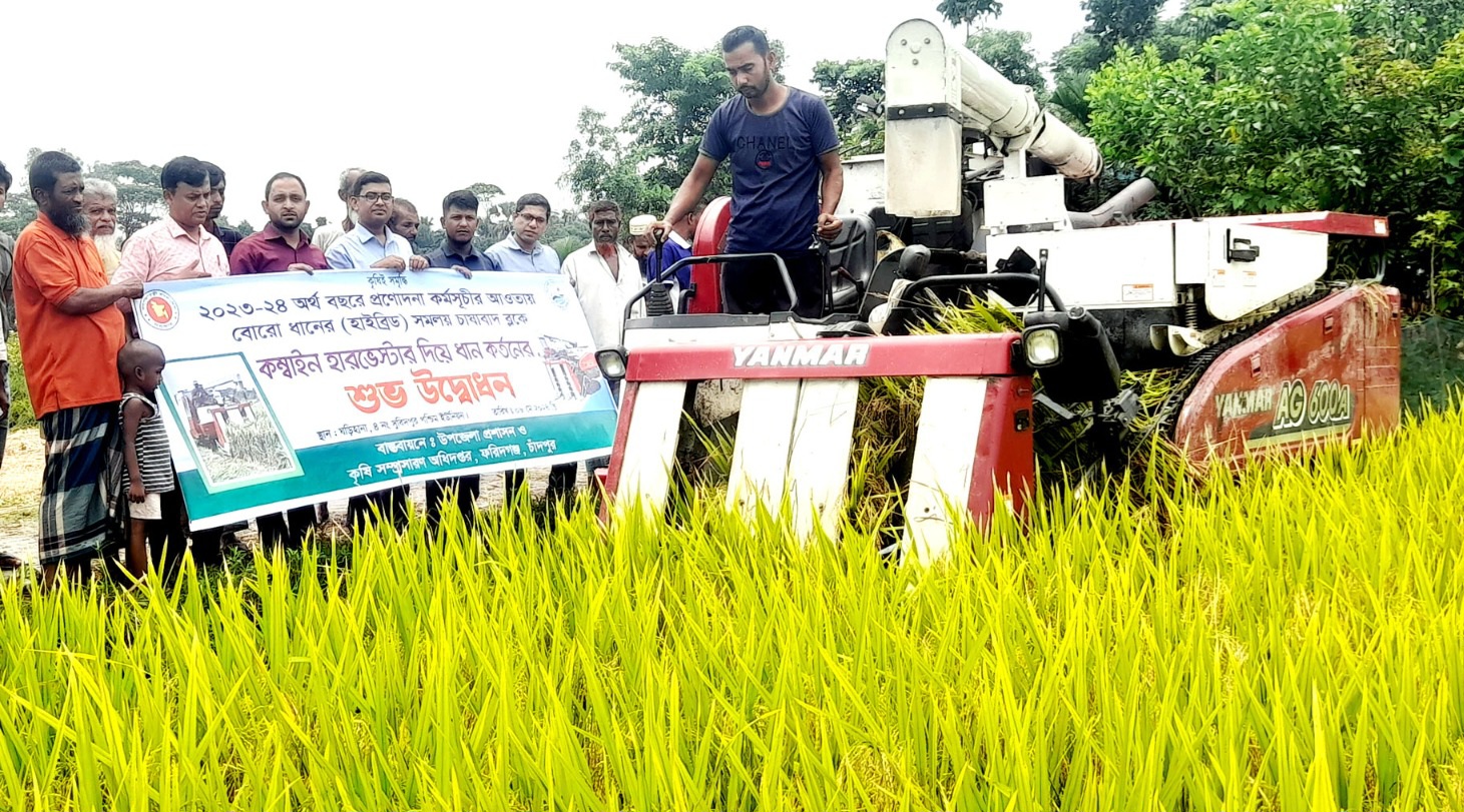 ফরিদগঞ্জে কম্বাইন্ড হারভেস্টার মেশিনে ধান কাটা শুরু