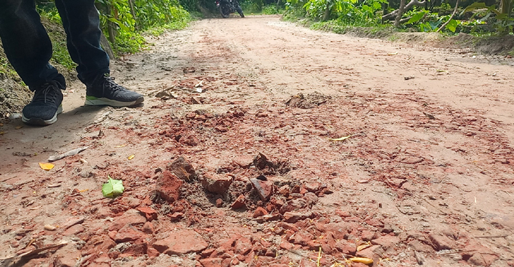 ভরা বর্ষায় সড়কটির কাজ করার হেতু কী?