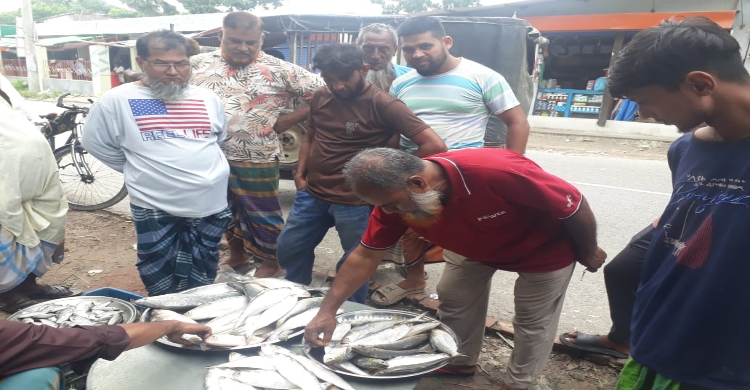 শ্রীনগরে ইলিশ মাছের দাম ক্রেতাদের নাগালের বাইরে
