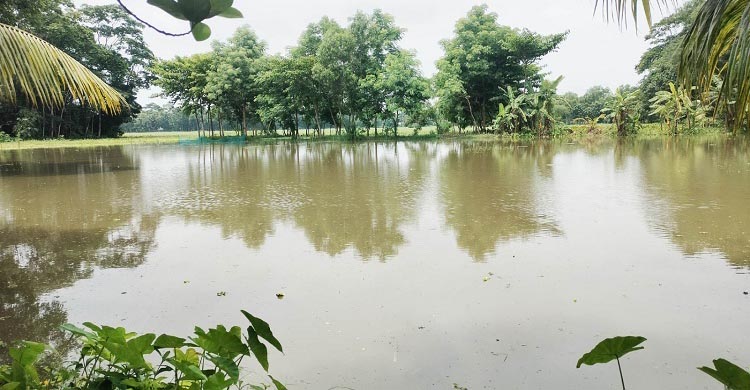 সেচ প্রকল্পগুলোর জলাবদ্ধতা নিরসনে ব্যবস্থা নিন