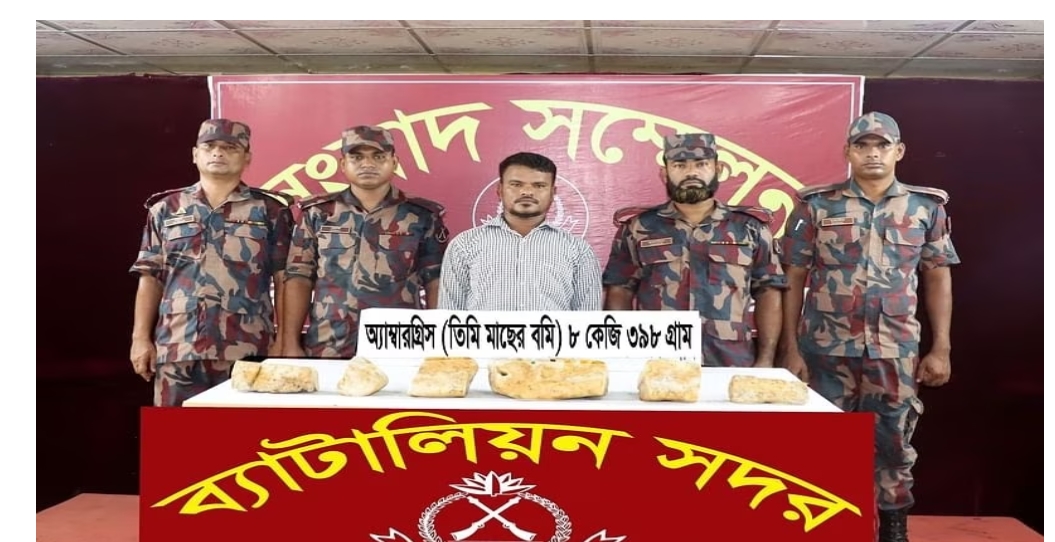 তিমির বমির (অ্যাম্বারগ্রিস)দাম ২১ কোটি, পাচার করতে গিয়ে যুবক আটক
