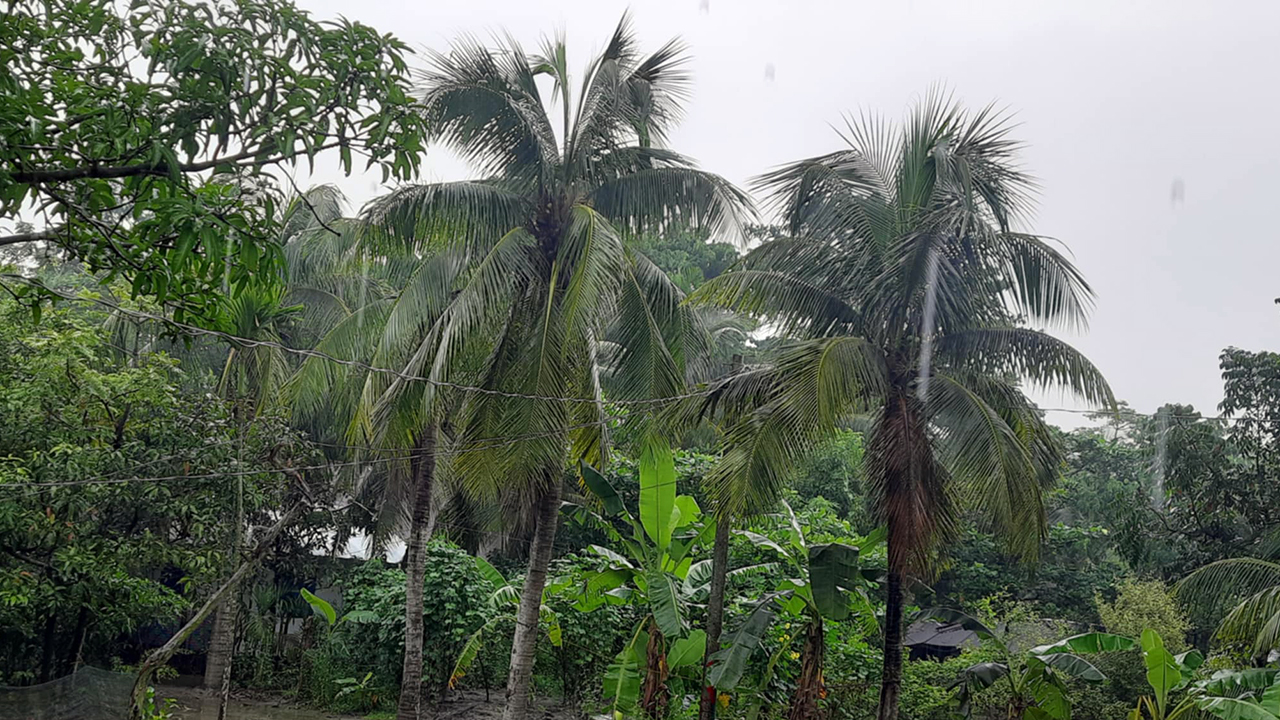 ঘূর্ণিঝড় ‘দানা’র প্রভাব : নোয়াখালীতে উপকূলজুড়ে থেমে থেমে বৃষ্টি