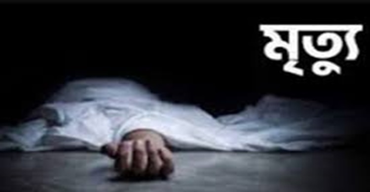 হাজীগঞ্জে তাল গাছ থেকে পড়ে আহত যুবকের মৃত্যু