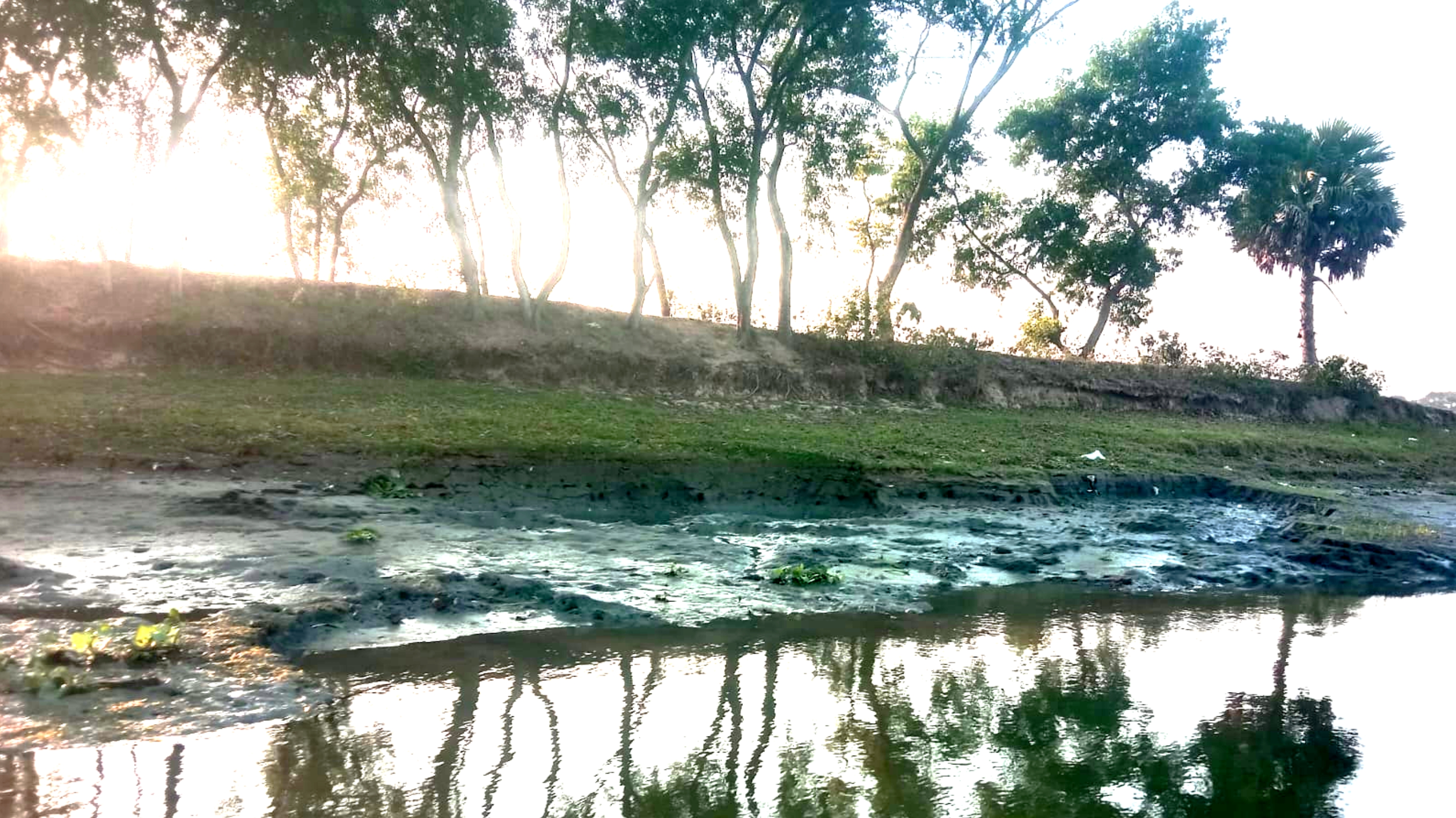 হামানকর্দি বেড়িবাঁধের মাটি যাচ্ছে ইটভাটায়