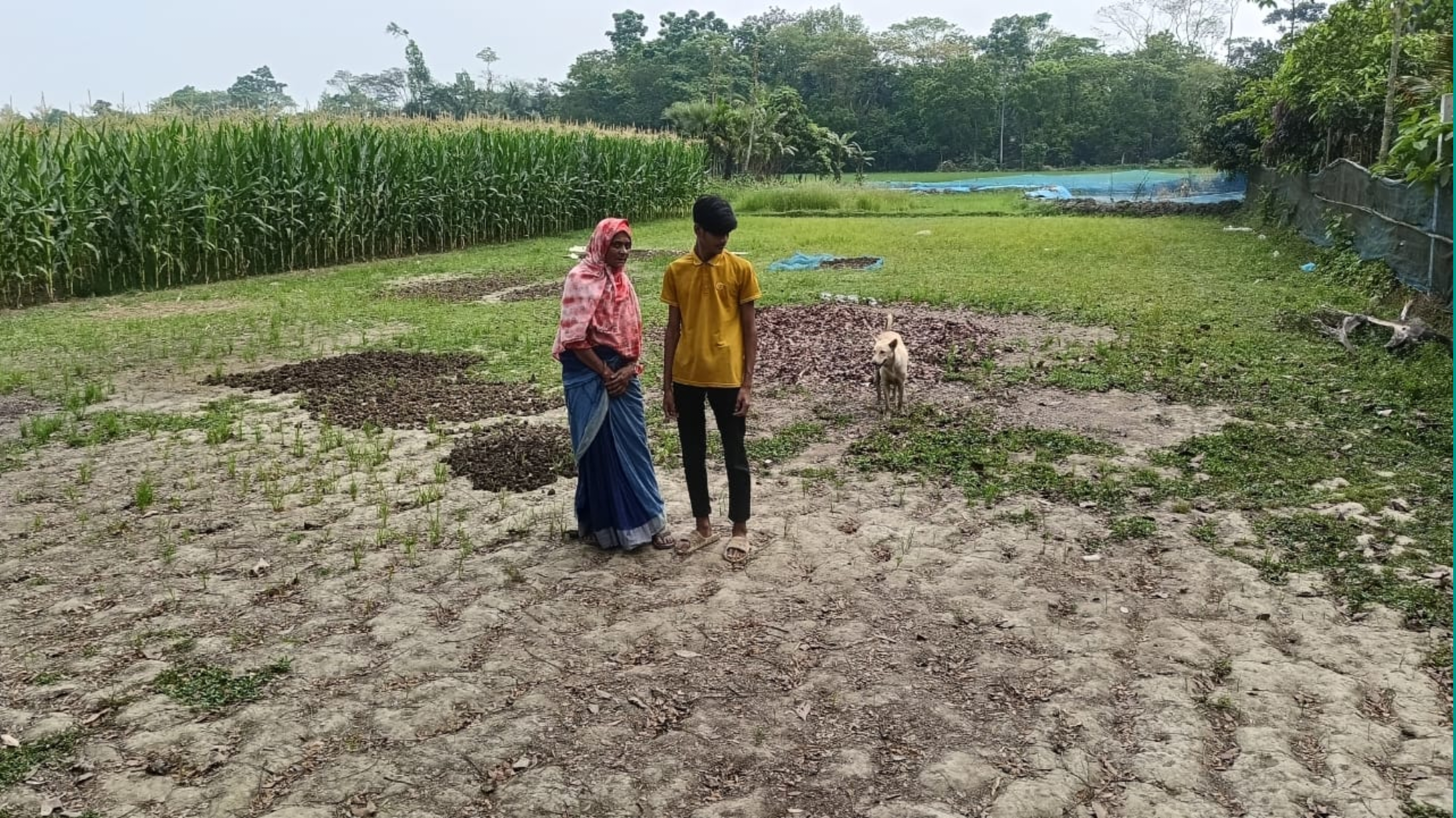 পাঁচ লাখ চাঁদা না দেয়ায় হালচাষে বাধা ও মারধরের অভিযোগ