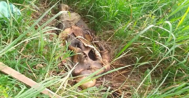 নোয়াখালীতে অজ্ঞাত মহিলার কঙ্কাল উদ্ধার