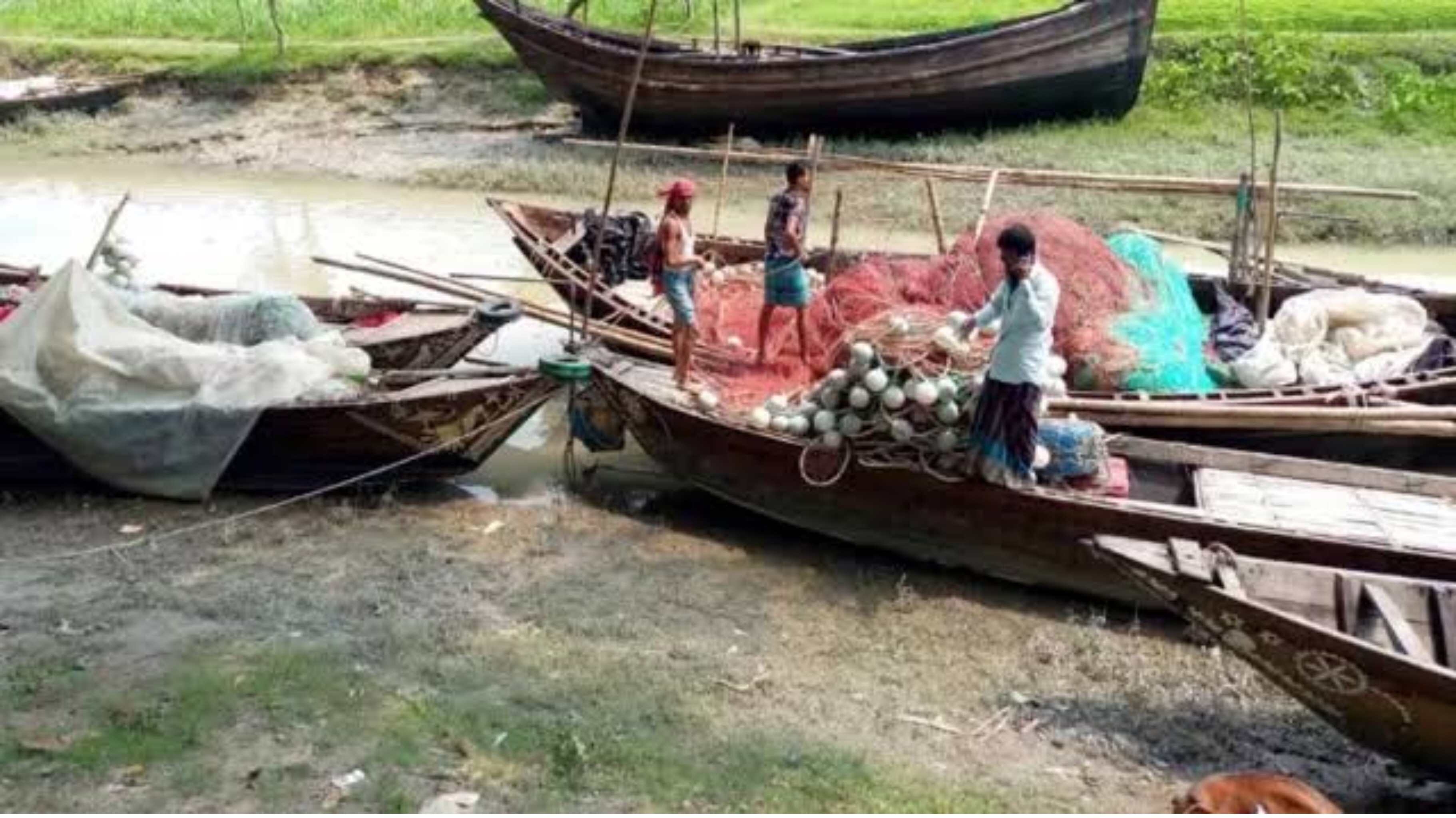 দু মাসের অভয়াশ্রম শেষ : মাছ ধরতে নদীতে নামছে জেলেরা