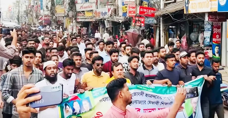 হাজীগঞ্জে ছাত্রদলের বিশাল বিক্ষোভ মিছিল