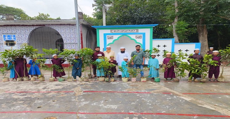 আব্দুল আজিজ ফাউন্ডেশনের বৃক্ষরোপণ কর্মসূচি