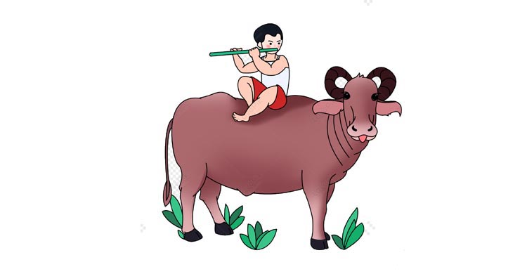 রাখালের লাল গরু