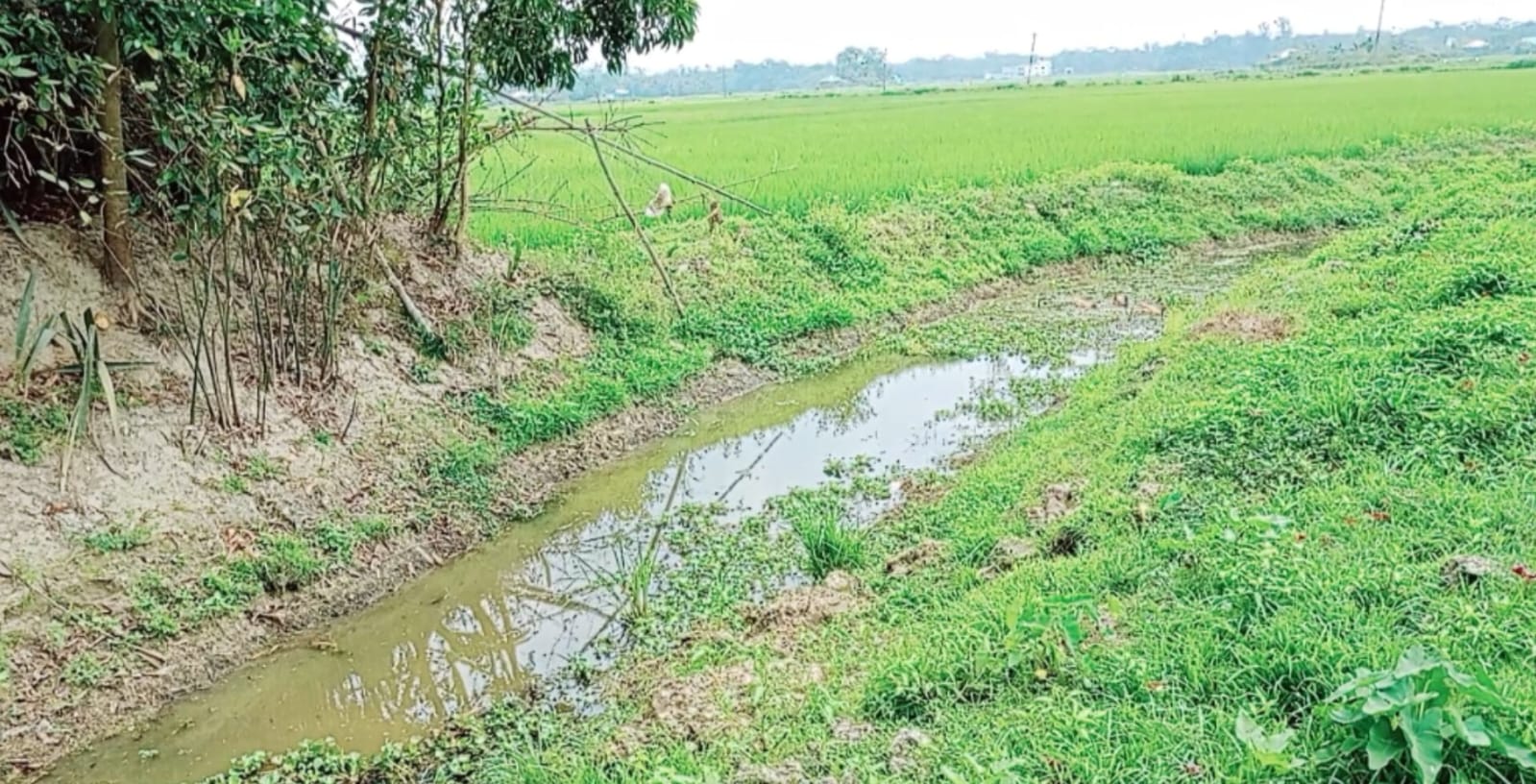 ফরিদগঞ্জে ৬৩ লাখ টাকার খাল খনন প্রকল্প ৬ লাখ টাকায় শেষ!