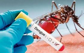 ডেঙ্গুতে আরও ৩৫৮ জন হাসপাতালে ভর্তি, মৃত্যু ১