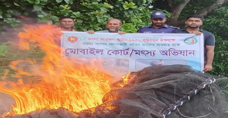 শ্রীনগর আড়িয়াল বিলে ভ্রাম্যমাণ অভিযানে চায়না দুয়াইর জব্দ