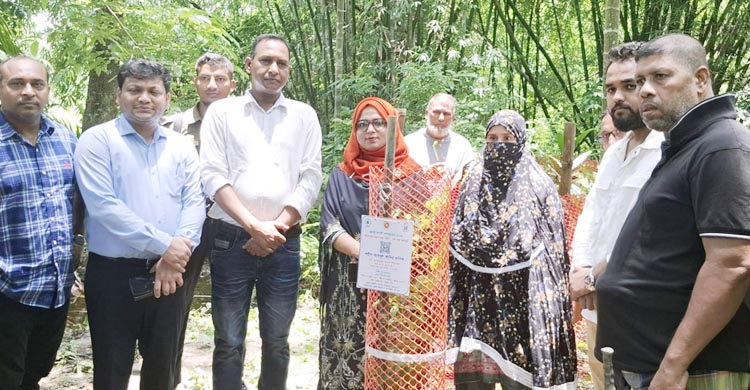 ফরিদগঞ্জে জুলাইযোদ্ধাদের সমাধিতে বৃক্ষরোপণ