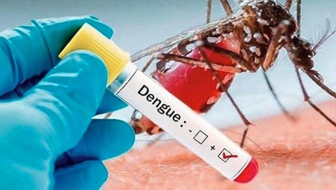 ডেঙ্গু কাড়লো আরও ৪ প্রাণ, শনাক্ত ৩১৯