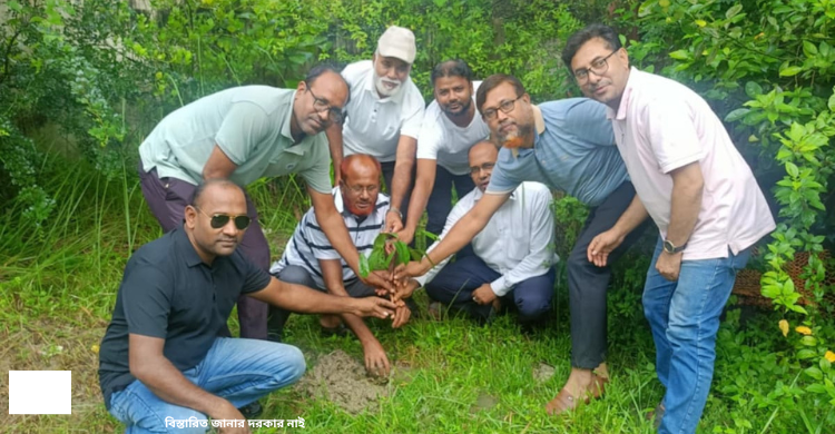 চাঁদপুর পৌর ১৪নং ওয়ার্ড বিএনপির বৃক্ষ রোপণ কর্মসূচি উদ্বোধন