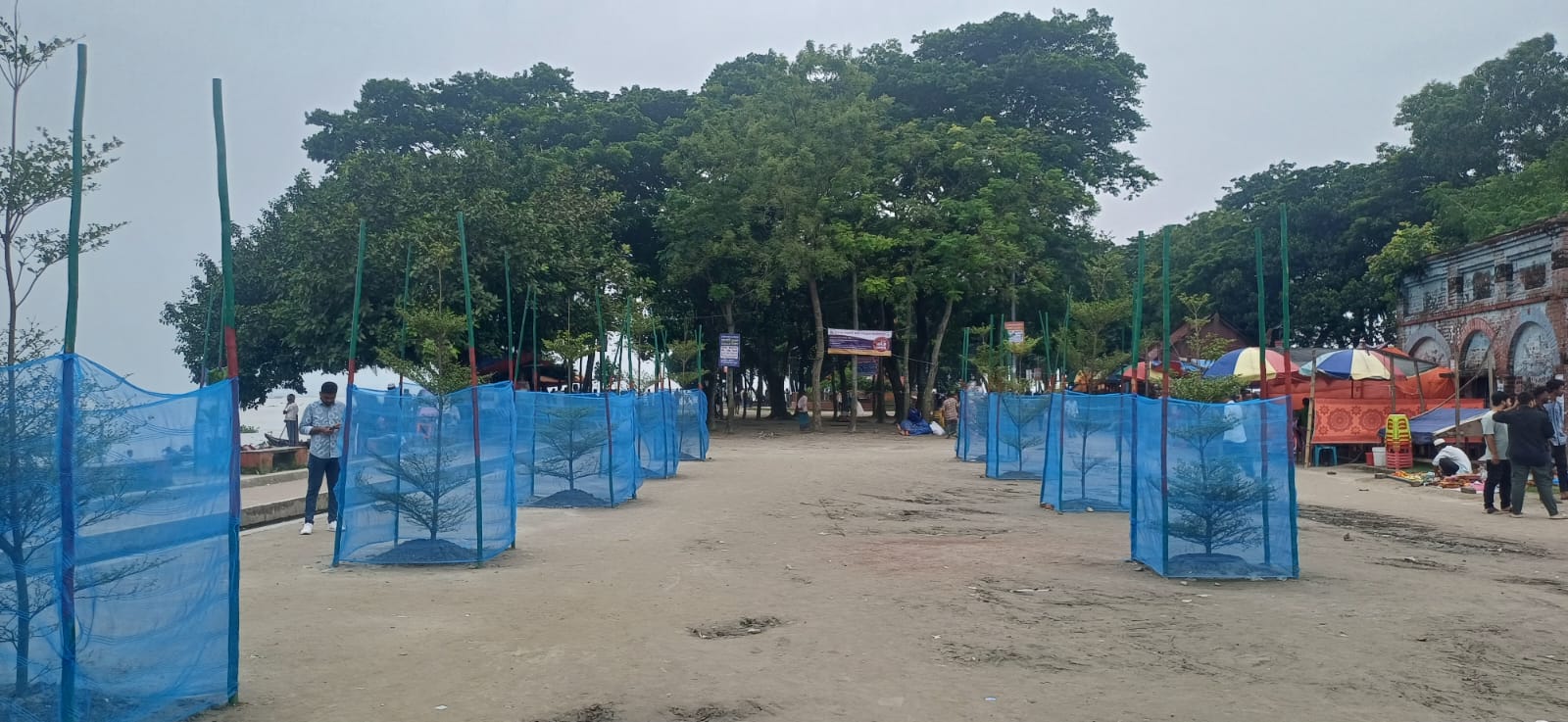 সবুজায়নে প্রশংসনীয় উদ্যোগ