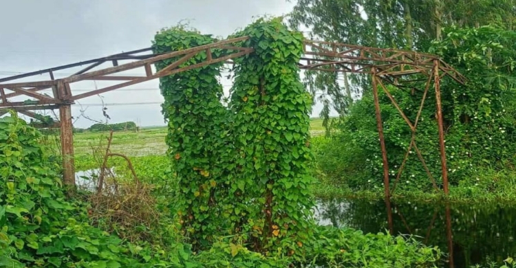 ঝুঁকিপূর্ণ সংযোগের মরণ ফাঁদ