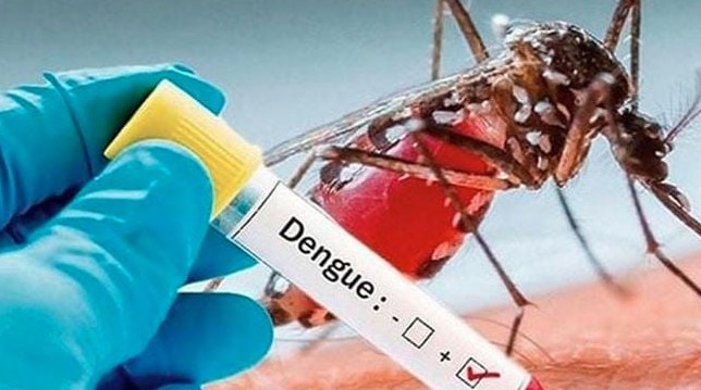 ডেঙ্গু আক্রান্ত হয়ে হাসপাতালে ভর্তি ৩৮০