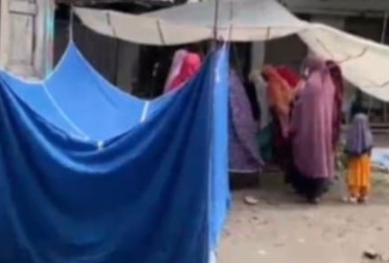 মতলব উত্তরে  সাপের কামড়ে দুই সন্তানের জননীর মৃত্যু
