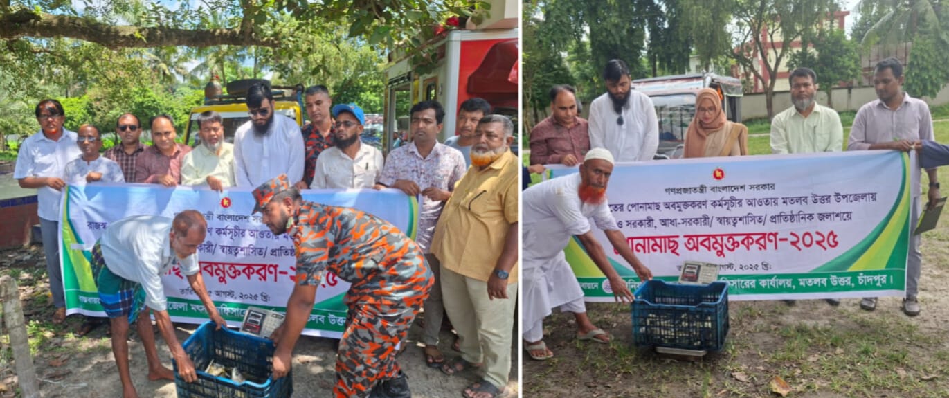 মতলব উত্তরে ৩৭৫ কেজি রুই মাছের পোনা অবমুক্তকরণ