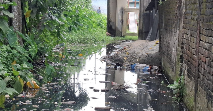 জলাবদ্ধ স্কুল সড়ক মশার প্রজনন ক্ষেত্র