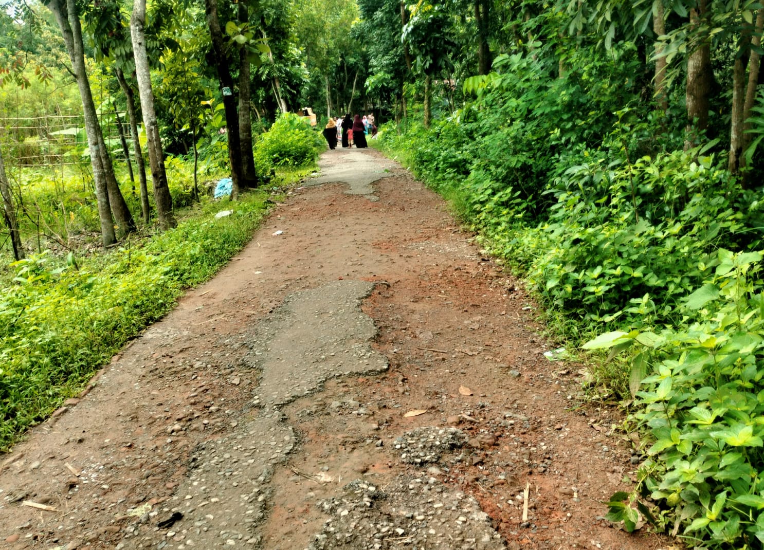 ছেংগারচর পৌরসভার পাকা রাস্তার বুক ছিন্নভিন্ন।। যান চলাচলের অনুপযুক্ত