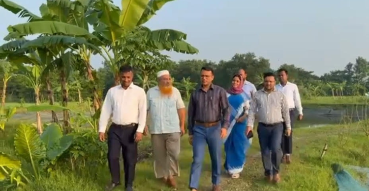 কচুয়া পৌরসভা প্রথম শ্রেণির হলেও গড়ে উঠেনি ডাম্পিং স্টেশন