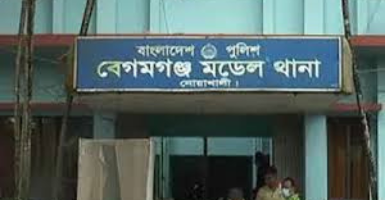 নোয়াখালীতে বিনা ভোটে বিজয়ী হতে নমিনেশন ফরম ছিঁড়ে প্রার্থীর ভাইকে মারধর