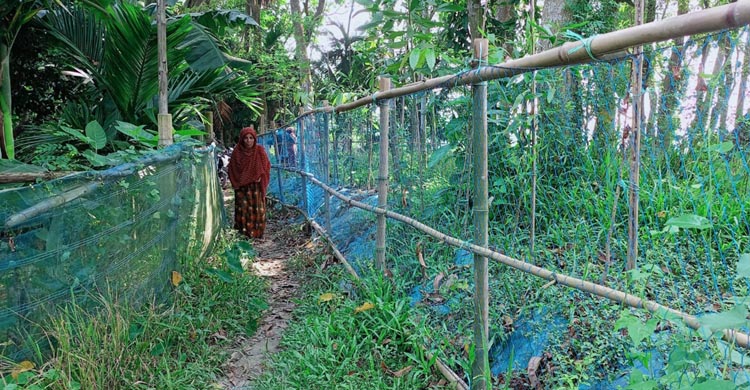 ইউপি’র রাস্তার ওপর বেড়া দেয়ার সাহস!