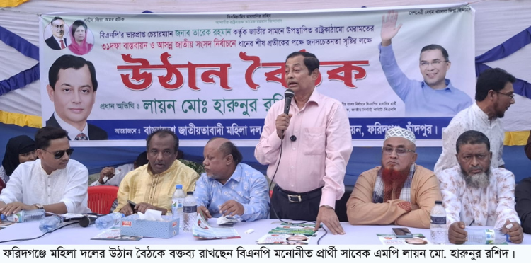 ৩১ দফা বাস্তবায়নে ধানের শীষের বিজয় নিশ্চিত করতে হবে ..........লায়ন মো. হারুনুর রশিদ