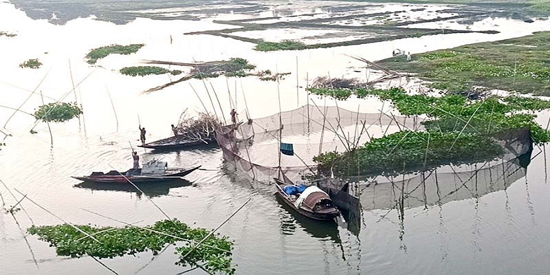 ধনাগোদা নদীর ২০ কিলোমিটার জুড়ে ৬ শতাধিক মাছ শিকারের অবৈধ ফাঁদ