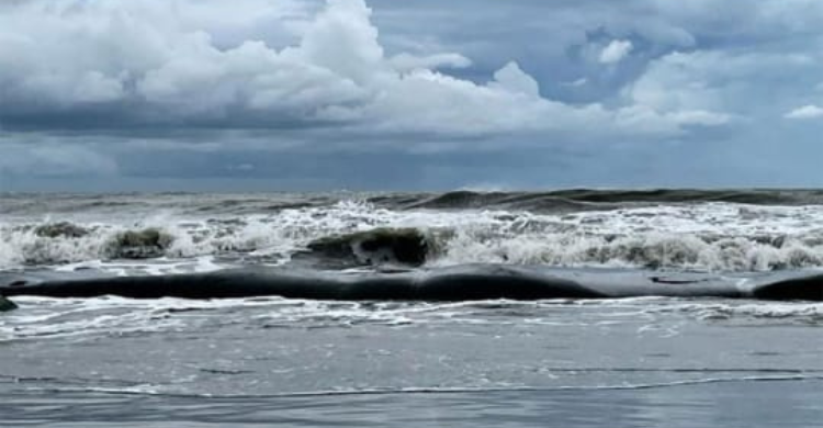 বঙ্গোপসাগরে ঘূর্ণিঝড় ‘ডিটওয়াহ’