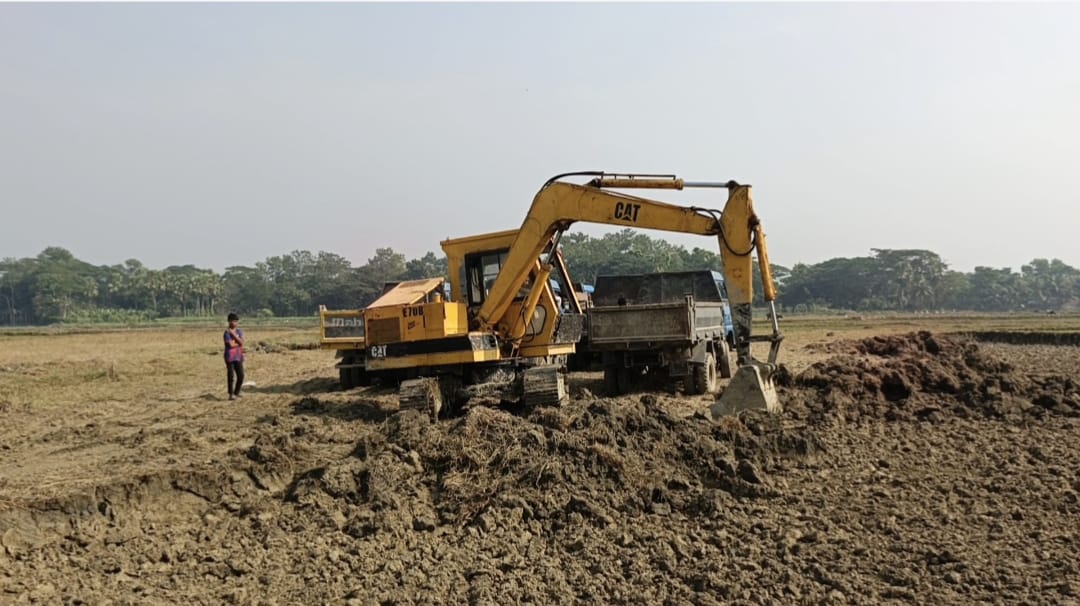 ফরিদগঞ্জের সর্বত্র ফসলি জমির মাটি কাটার ধুম || অভিযানের পরেও থামছে না