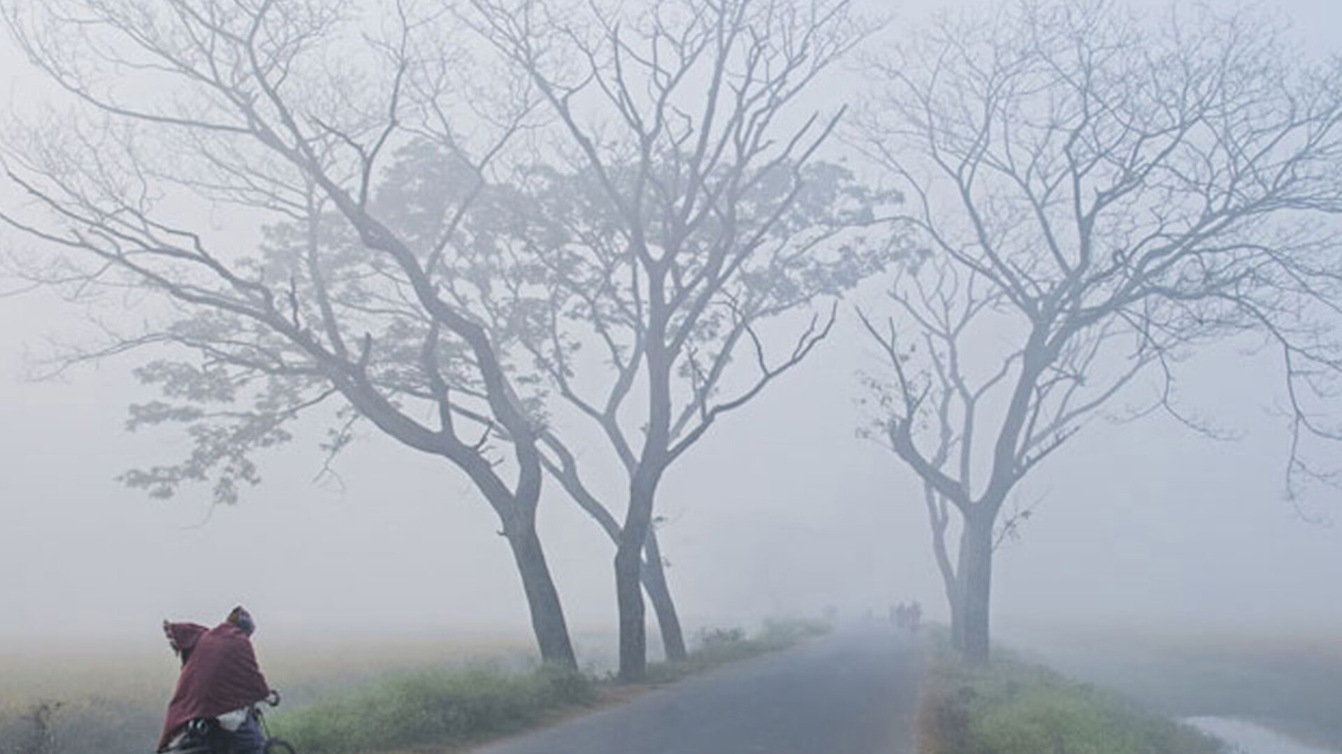 শীত ও কুয়াশার দাপট বাড়বে আরও, সতর্ক বার্তা আবহাওয়া দপ্তরের