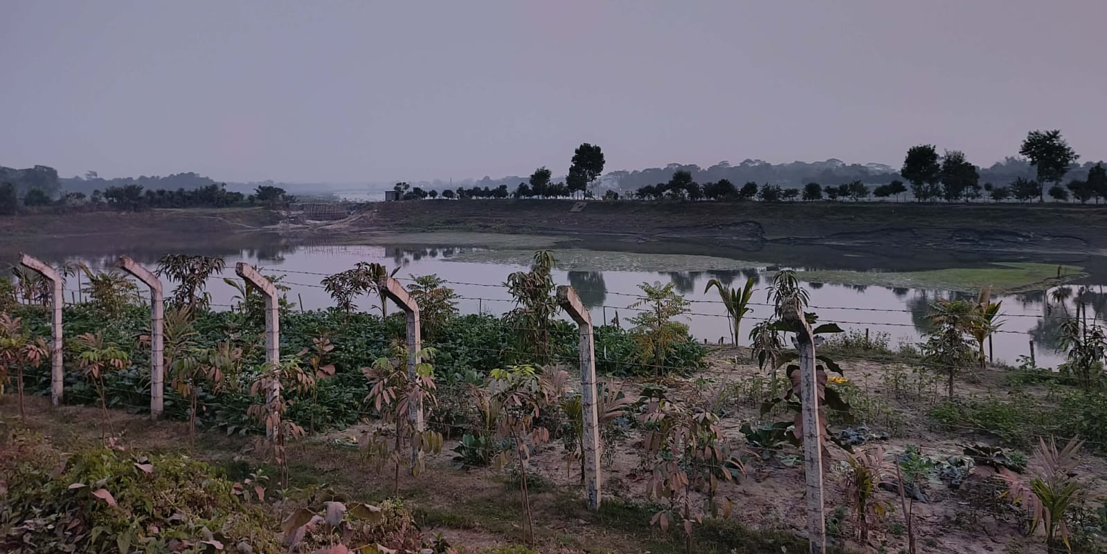 মতলব উত্তরে পাউবোর ফিশারি দখলের চেষ্টা