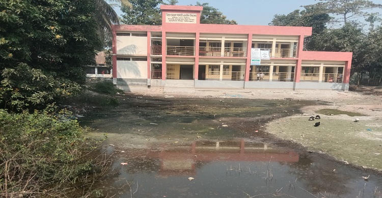 খেলার মাঠ গরুর বর্জ্যের দখলে