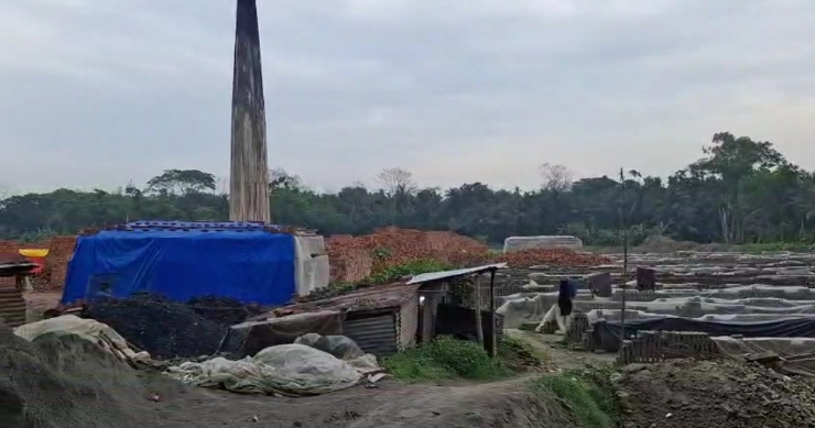 ফরিদগঞ্জে ৩৫ শতাংশ সম্পত্তির ওপর নিষেধাজ্ঞার নামে পুরো ব্রিক ফিল্ডে কাজ বন্ধ!