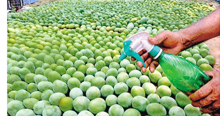 রাসায়নিক দিয়ে পাকানো ফল কতোটুকু নিরাপদ